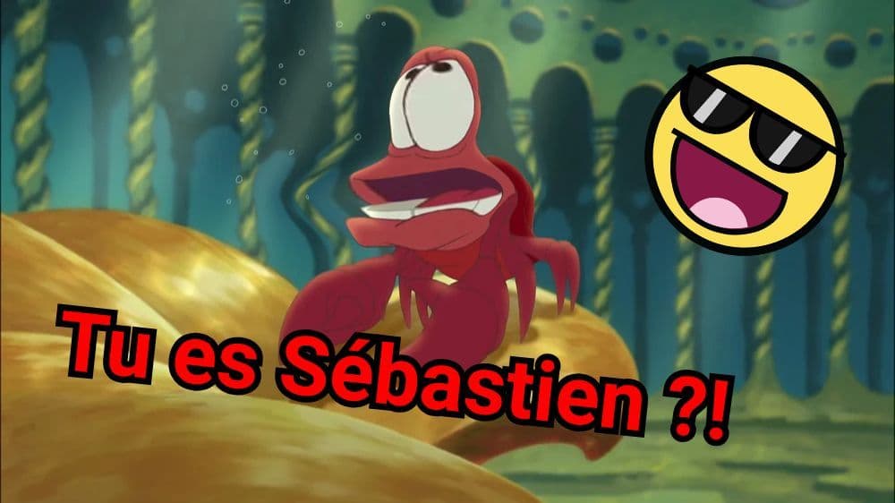 Quel acolyte de héros Disney es-tu ?